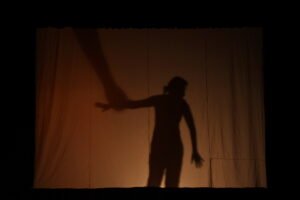 06 - Shadow Scene - Nov Show © Chanuka